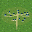 (3,2) (1700l) 