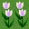(9,8) 花 