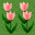 (0,2) 花 