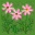 (9,1) 花 