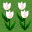 (4,7) 花 