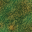 (10,5) y(LV1) 